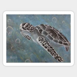 Sea Turtle Sticker